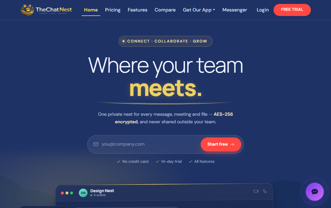 TheChatNest website